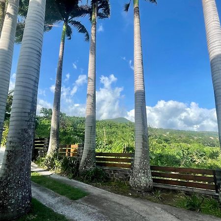 Villa Annadele, calme et vue exceptionnelle sur l'ocean Vincendo Extérieur photo
